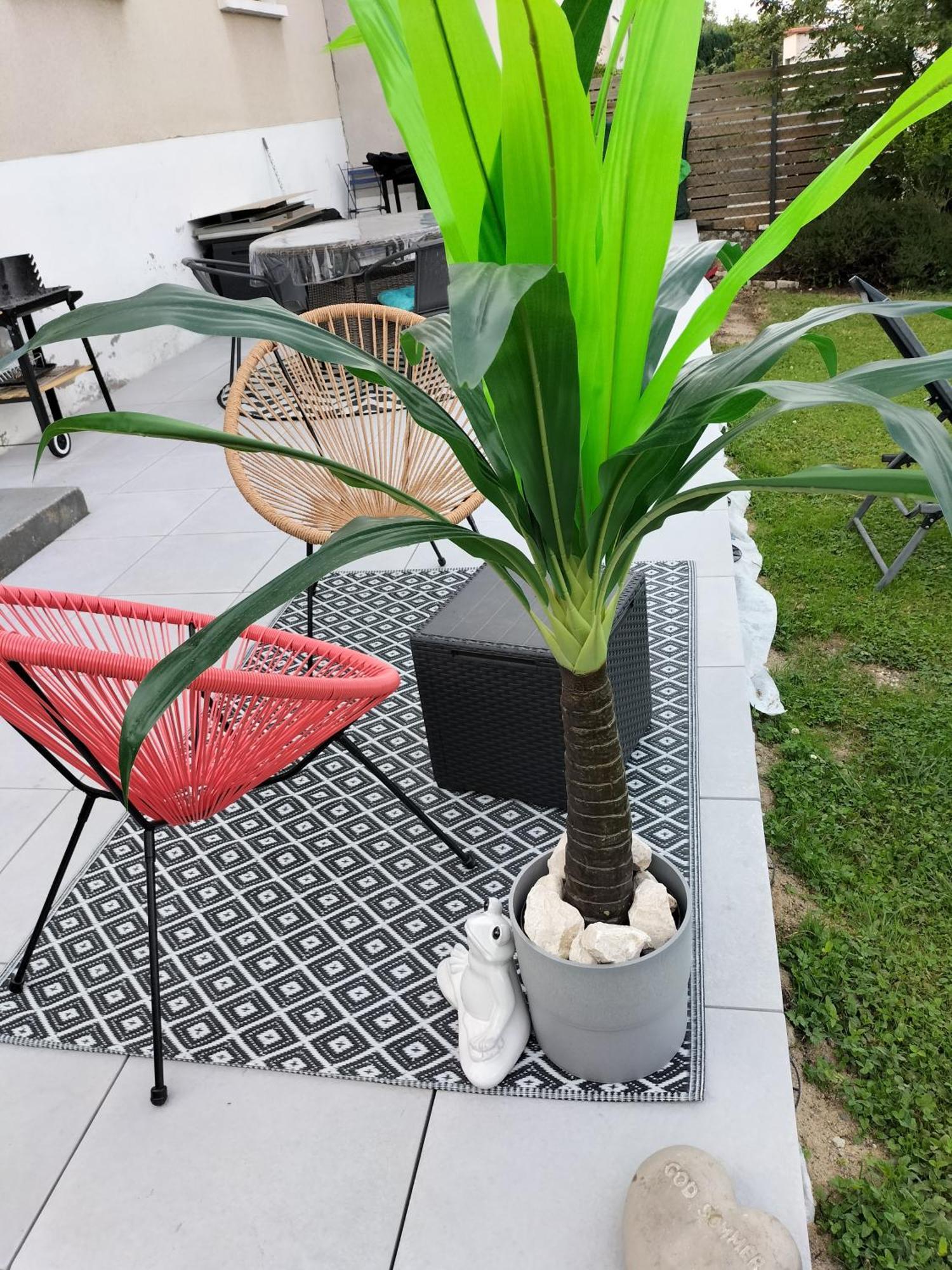 Studio Tres Calme 5Mn Vichy Bellerive-sur-Allier Eksteriør bilde